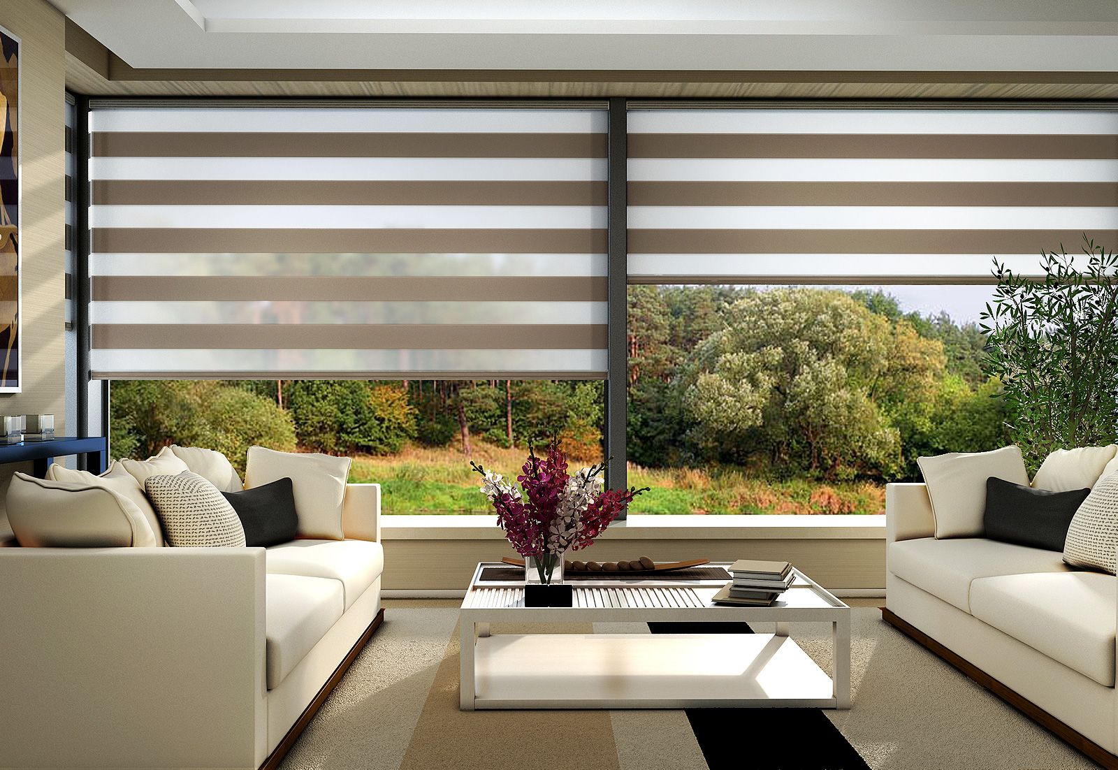 window shade